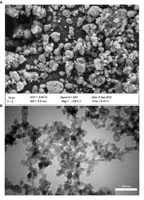 Potassium silica nanostructure improved growth and nutrient uptake of sorghum plants subjected to drought stress